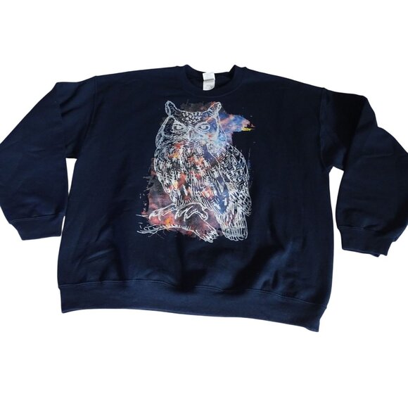 Gildan Heavy Blend Blue Owl Graphic Sweatshirt Women Men Size XL Long Sleeve - Picture 1 of 11